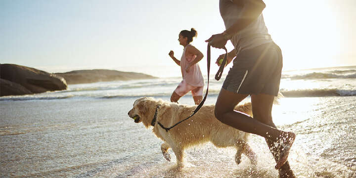 mann frau hund am strand laufen durchs wasser 1000x500